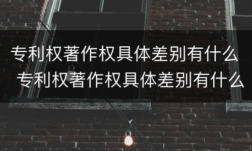 专利权著作权具体差别有什么 专利权著作权具体差别有什么