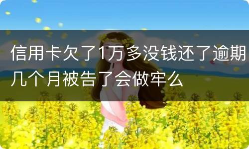信用卡欠了1万多没钱还了逾期几个月被告了会做牢么