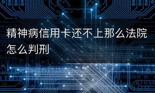 精神病信用卡还不上那么法院怎么判刑