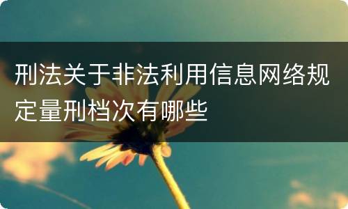 刑法关于非法利用信息网络规定量刑档次有哪些