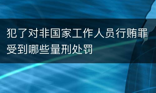 犯了对非国家工作人员行贿罪受到哪些量刑处罚