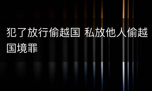 犯了放行偷越国 私放他人偷越国境罪