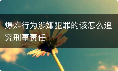 爆炸行为涉嫌犯罪的该怎么追究刑事责任