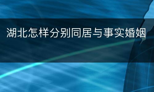 湖北怎样分别同居与事实婚姻