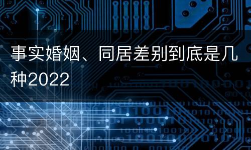事实婚姻、同居差别到底是几种2022