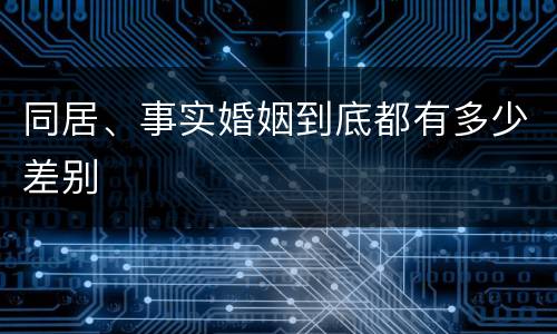 同居、事实婚姻到底都有多少差别