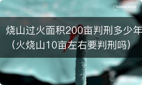 烧山过火面积200亩判刑多少年（火烧山10亩左右要判刑吗）