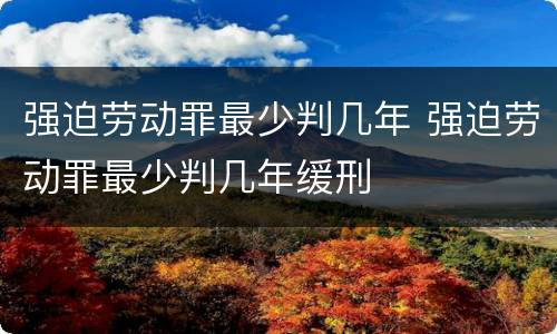强迫劳动罪最少判几年 强迫劳动罪最少判几年缓刑