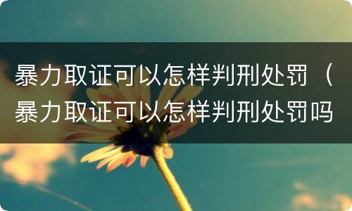 暴力取证可以怎样判刑处罚（暴力取证可以怎样判刑处罚吗）