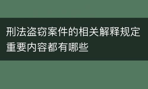 刑法盗窃案件的相关解释规定重要内容都有哪些