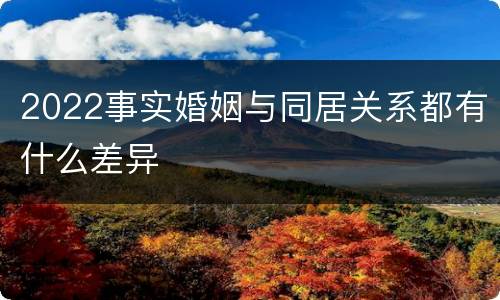 2022事实婚姻与同居关系都有什么差异