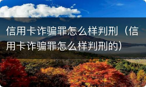 信用卡诈骗罪怎么样判刑（信用卡诈骗罪怎么样判刑的）