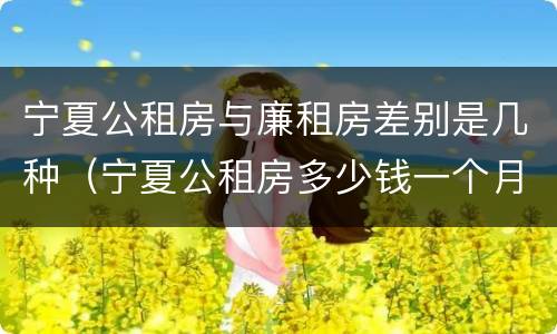 宁夏公租房与廉租房差别是几种（宁夏公租房多少钱一个月）