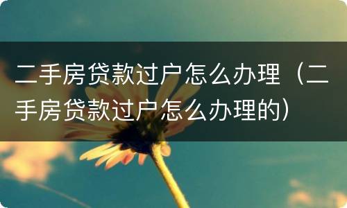 二手房贷款过户怎么办理（二手房贷款过户怎么办理的）