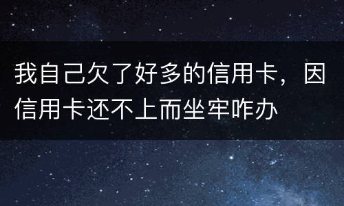 我自己欠了好多的信用卡，因信用卡还不上而坐牢咋办