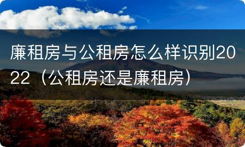 廉租房与公租房怎么样识别2022（公租房还是廉租房）