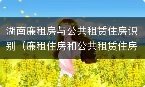 湖南廉租房与公共租赁住房识别（廉租住房和公共租赁住房）