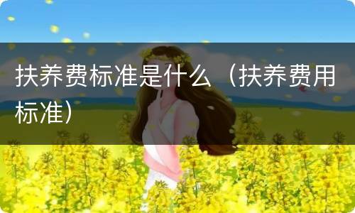 扶养费标准是什么（扶养费用标准）