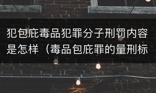 犯包庇毒品犯罪分子刑罚内容是怎样（毒品包庇罪的量刑标准）