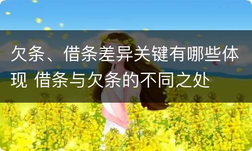 欠条、借条差异关键有哪些体现 借条与欠条的不同之处