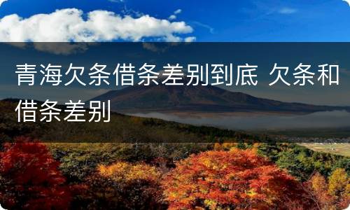 青海欠条借条差别到底 欠条和借条差别