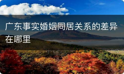 广东事实婚姻同居关系的差异在哪里