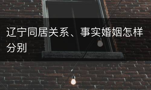 辽宁同居关系、事实婚姻怎样分别