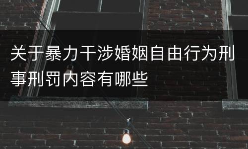 关于暴力干涉婚姻自由行为刑事刑罚内容有哪些