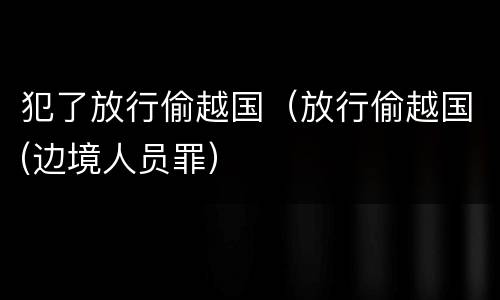犯了放行偷越国（放行偷越国(边境人员罪）