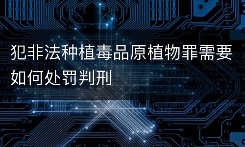 犯非法种植毒品原植物罪需要如何处罚判刑