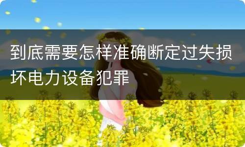 到底需要怎样准确断定过失损坏电力设备犯罪