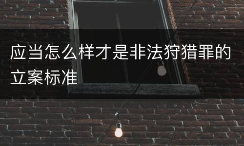 应当怎么样才是非法狩猎罪的立案标准