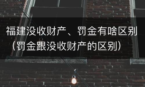 福建没收财产、罚金有啥区别（罚金跟没收财产的区别）