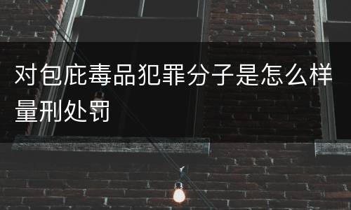对包庇毒品犯罪分子是怎么样量刑处罚