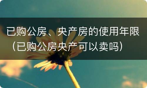 已购公房、央产房的使用年限（已购公房央产可以卖吗）