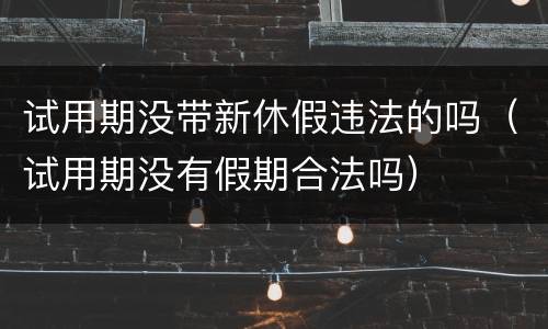 试用期没带新休假违法的吗（试用期没有假期合法吗）
