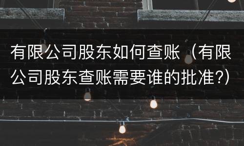 有限公司股东如何查账（有限公司股东查账需要谁的批准?）