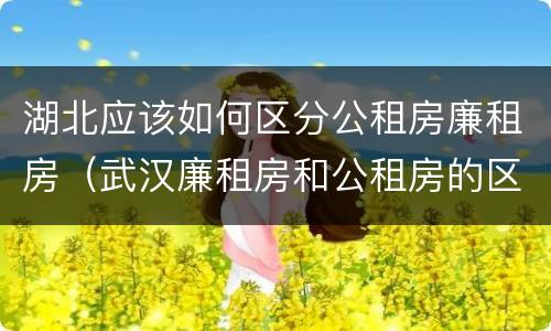 湖北应该如何区分公租房廉租房（武汉廉租房和公租房的区别）