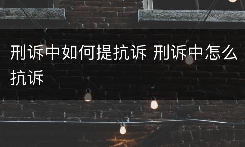 刑诉中如何提抗诉 刑诉中怎么抗诉