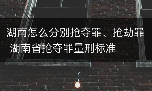 湖南怎么分别抢夺罪、抢劫罪 湖南省抢夺罪量刑标准