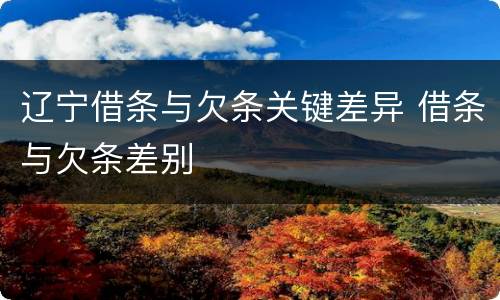 辽宁借条与欠条关键差异 借条与欠条差别