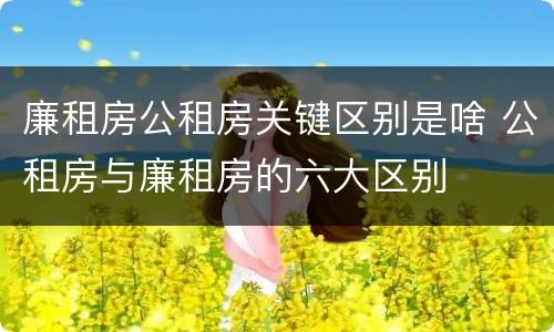 廉租房公租房关键区别是啥 公租房与廉租房的六大区别