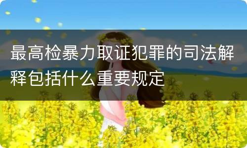 最高检暴力取证犯罪的司法解释包括什么重要规定