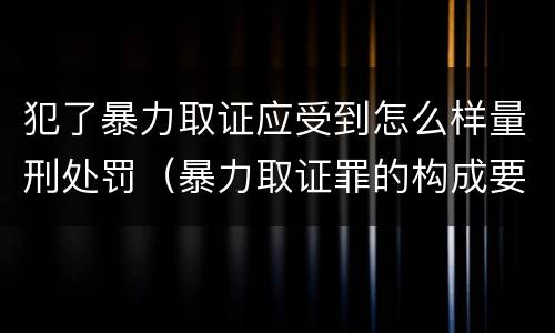 犯了暴力取证应受到怎么样量刑处罚（暴力取证罪的构成要件）