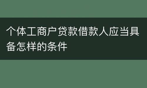 个体工商户贷款借款人应当具备怎样的条件