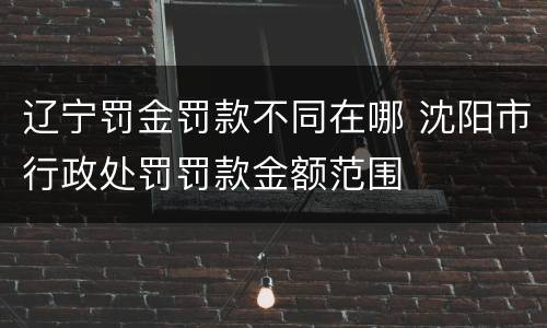 辽宁罚金罚款不同在哪 沈阳市行政处罚罚款金额范围