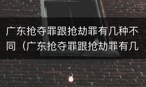 广东抢夺罪跟抢劫罪有几种不同（广东抢夺罪跟抢劫罪有几种不同行为）