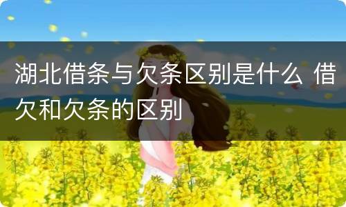 湖北借条与欠条区别是什么 借欠和欠条的区别