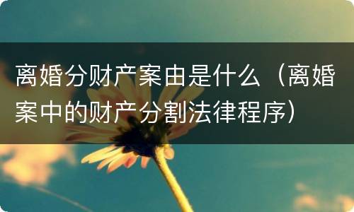 离婚分财产案由是什么（离婚案中的财产分割法律程序）