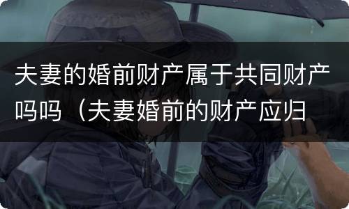 夫妻的婚前财产属于共同财产吗吗（夫妻婚前的财产应归 (   所有）